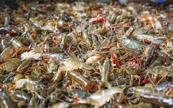 1633999988287276.png image.png